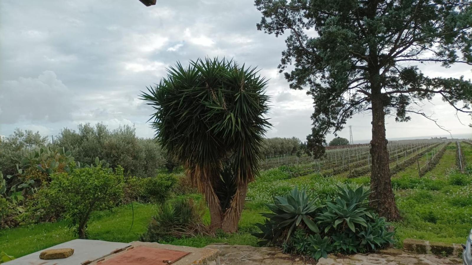 Casa Bouganville Villetta Tra Le Vigne E Il Mare Menfi Kültér fotó