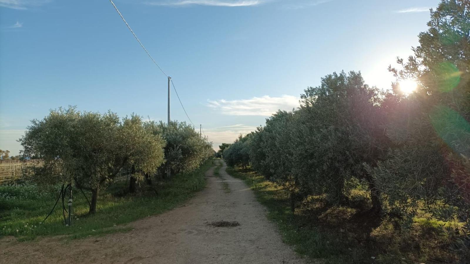 Casa Bouganville Villetta Tra Le Vigne E Il Mare Menfi Kültér fotó
